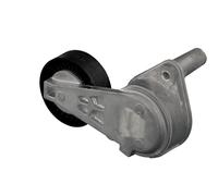FEBI BILSTEIN 31256 Tenditore cinghia servizi