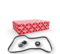 FEBI BILSTEIN 31625 Kit Cinghie Poly-V