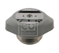 FEBI BILSTEIN 31980 Supporto, Cambio automatico per AUDI,AUDI (FAW),SKODA,VW
