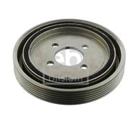 FEBI BILSTEIN 32112 Puleggia cinghia, Albero a gomiti per CITROËN,PEUGEOT