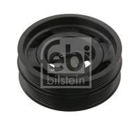 FEBI BILSTEIN 32215 Puleggia cinghia, Albero a gomiti per FORD,VOLVO