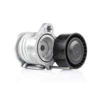 FEBI BILSTEIN 32248 Tenditore cinghia servizi