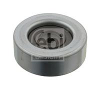 FEBI BILSTEIN 32447 Galoppino/Guidacinghia, Cinghia Poly-V per MITSUBISHI