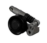 Tendicinghia multirighe Automatico 32811 FEBI BILSTEIN per VW