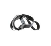 FEBI BILSTEIN 33021 Cinghia servizi