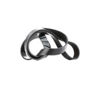 FEBI BILSTEIN 33021 Cinghia servizi per VW Polo Hatchback (6R1, 6C1) POLO (9N)