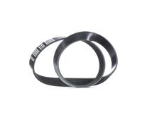 FEBI BILSTEIN 33026 Cinghia servizi