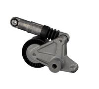 Tendicinghia multirighe Automatico 33152 FEBI BILSTEIN per AUDI A4 B7 A8 D3 Q7