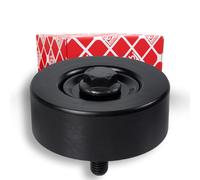 FEBI BILSTEIN 34170 Galoppino guidacinghia, cinghia Poly-V