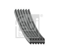 FEBI BILSTEIN 34459 Cinghia servizi per VW Golf IV Schrägheck (1J1) BORA 1195mm