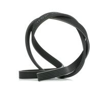 FEBI BILSTEIN 34462 Cinghia servizi