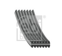 FEBI BILSTEIN 34464 Cinghia Poly-V per CHRYSLER,VW