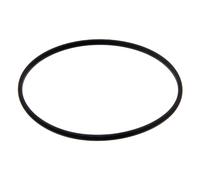 FEBI BILSTEIN 35832 Guarnizione, Canna cilindro