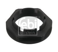 FEBI BILSTEIN 35863 Dado, fusello per DAF