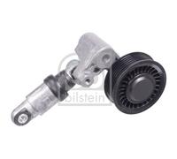 FEBI BILSTEIN 36003 Tendicinghia, Cinghia Poly-V per VW