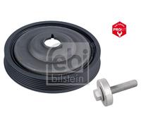 FEBI BILSTEIN 36155 Puleggia cinghia, Albero a gomiti per RENAULT Megane