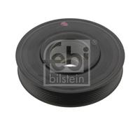 FEBI BILSTEIN 36244 Puleggia cinghia, Albero a gomiti per RENAULT Megane