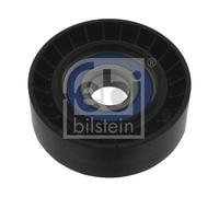 FEBI BILSTEIN 36365 Galoppino/Guidacinghia, Cinghia Poly-V per FIAT