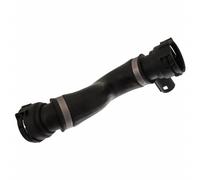 FEBI BILSTEIN Flessibile radiatore 36842 - Tubo superiore destro EPDM per BMW