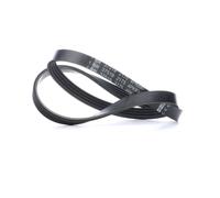 FEBI BILSTEIN 37519 Cinghia servizi