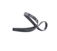 FEBI BILSTEIN Cinghia Poly-V 37531