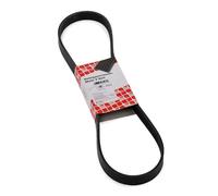 FEBI BILSTEIN 37533 Cinghia servizi per VW Polo Hatchback (6R1, 6C1) POLO (9N)