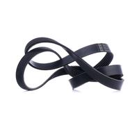 FEBI BILSTEIN 38247 Cinghia servizi