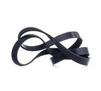 FEBI BILSTEIN 38247 Cinghia servizi per VW Transporter VI Kastenwagen (SGA, SGH)