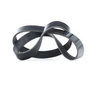 FEBI BILSTEIN 38251 Cinghia servizi