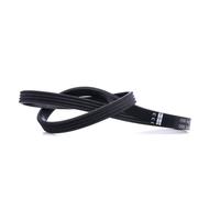 FEBI BILSTEIN 38443 Cinghia servizi per BMW 3 Sedan (E46) 860mm