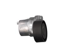FEBI BILSTEIN 38465 Tenditore cinghia servizi