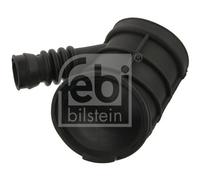 FEBI BILSTEIN 38542 Flessibile d'aspirazione, Filtro aria per BMW
