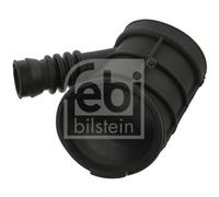 FEBI BILSTEIN 38542 Manicotto Di Aspirazione, Filtro Aria per BMW