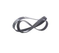 FEBI BILSTEIN 38848 Cinghia servizi