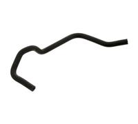 Tubo flessibile, ventilazione coperchio testata cilindri FEBI BILSTEIN 38944