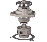 FEBI BILSTEIN 39061 Pompa dell’acqua, raffreddamento motore per FORD