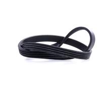 FEBI BILSTEIN Cinghia servizi 39781 Poly-V EPDM per Citroën, Fiat, Peugeot