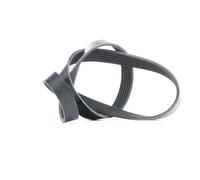 FEBI BILSTEIN 39786 Cinghia servizi