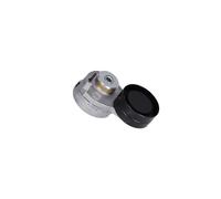 FEBI BILSTEIN 40126 Tenditore cinghia servizi