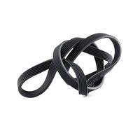 FEBI BILSTEIN 40713 Cinghia servizi