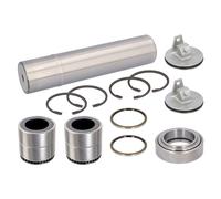 FEBI BILSTEIN 40805 Kit riparazione, Perno fuso a snodo