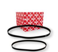 RIDEX 542R0018 Kit Cinghie Poly-V per FORD Fiesta Mk6 Schrägheck (JA8, JR8)