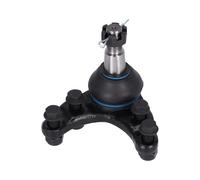 FEBI BILSTEIN 42444 Testina braccio oscillante