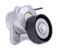 febi bilstein 43677 tensionatore idraulico per cinghia servizi, 1 unità