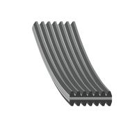 FEBI BILSTEIN 45025 Cinghia servizi