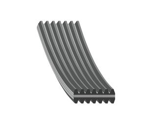 FEBI BILSTEIN 45025 Cinghia servizi