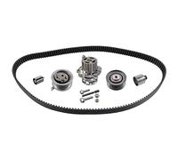 febi bilstein 45117 kit cinghia distribuzione pompa acqua, 1 unità