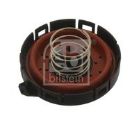 FEBI BILSTEIN 45181 Valvola, Ventilazione carter per BMW