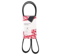 Cinghia trapezoidale multirighe EPDM (Etilene-Propilene-Diene-Caucciù) 45239