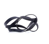 Cinghia trapezoidale multirighe EPDM (Etilene-Propilene-Diene-Caucciù) 45239